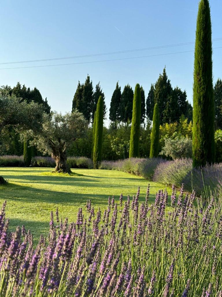 Hotel Mas Des Bambous Saint-Rémy-de-Provence Esterno foto