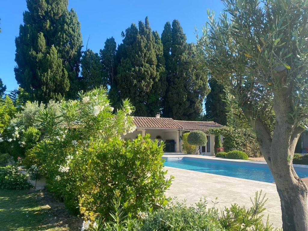 Hotel Mas Des Bambous Saint-Rémy-de-Provence Esterno foto