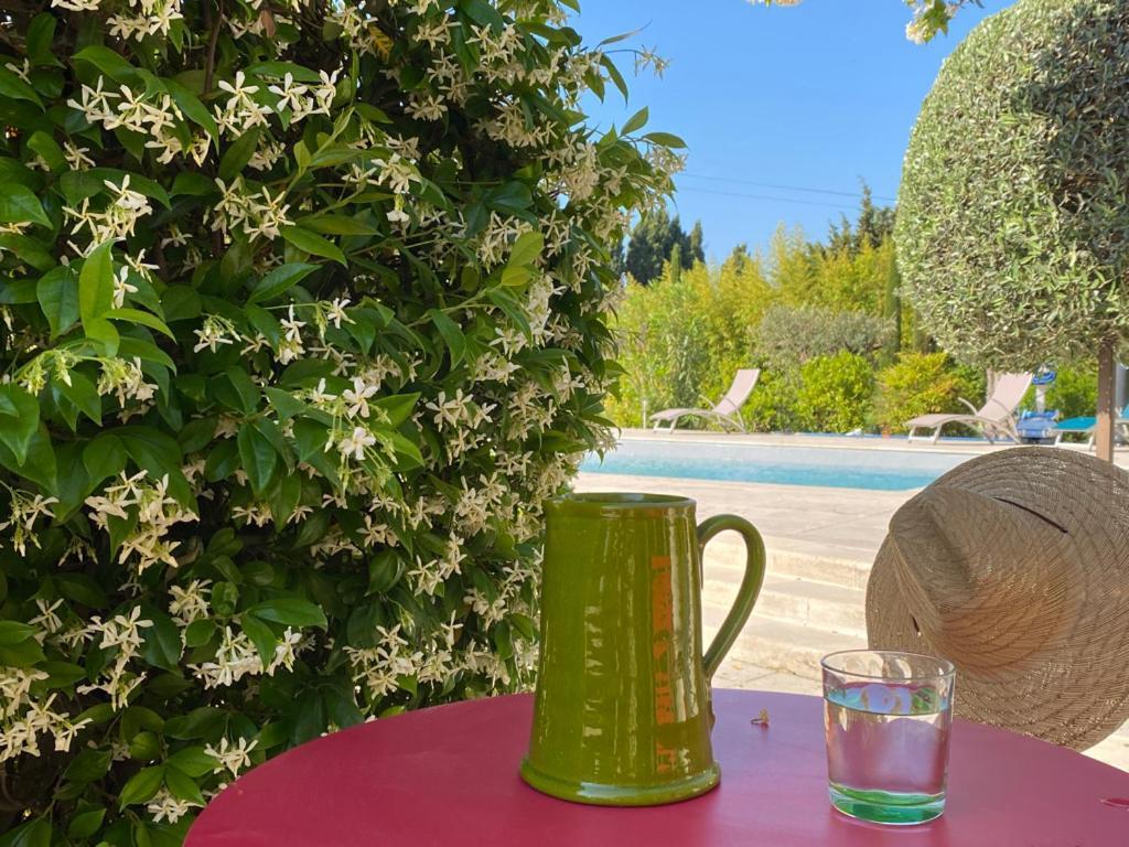Hotel Mas Des Bambous Saint-Rémy-de-Provence Esterno foto
